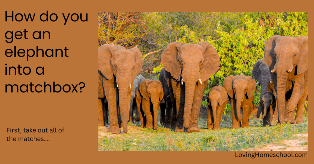 Elephant picture and joke