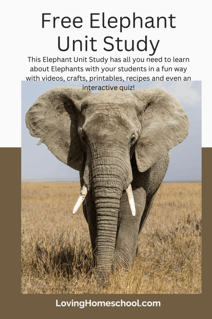 Free Elephant Unit Study Pinterest Pin