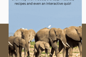 Free Elephant Unit Study Pinterest Pin