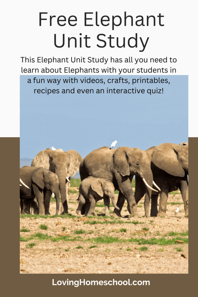 Free Elephant Unit Study Pinterest Pin
