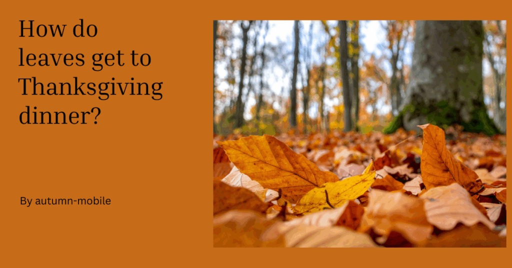 Thanksgiving Jokes