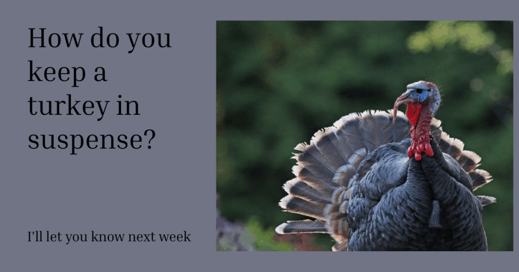 Thanksgiving Jokes