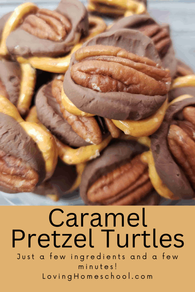 Caramel Pretzel Turtles Pinterest Pin