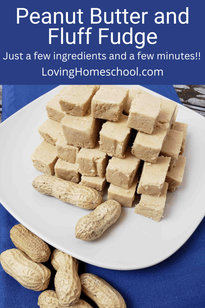 Peanut Butter and Fluff Fudge Pinterest Pin
