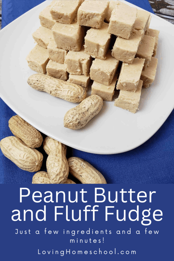 Peanut Butter and Fluff Fudge Pinterest Pin