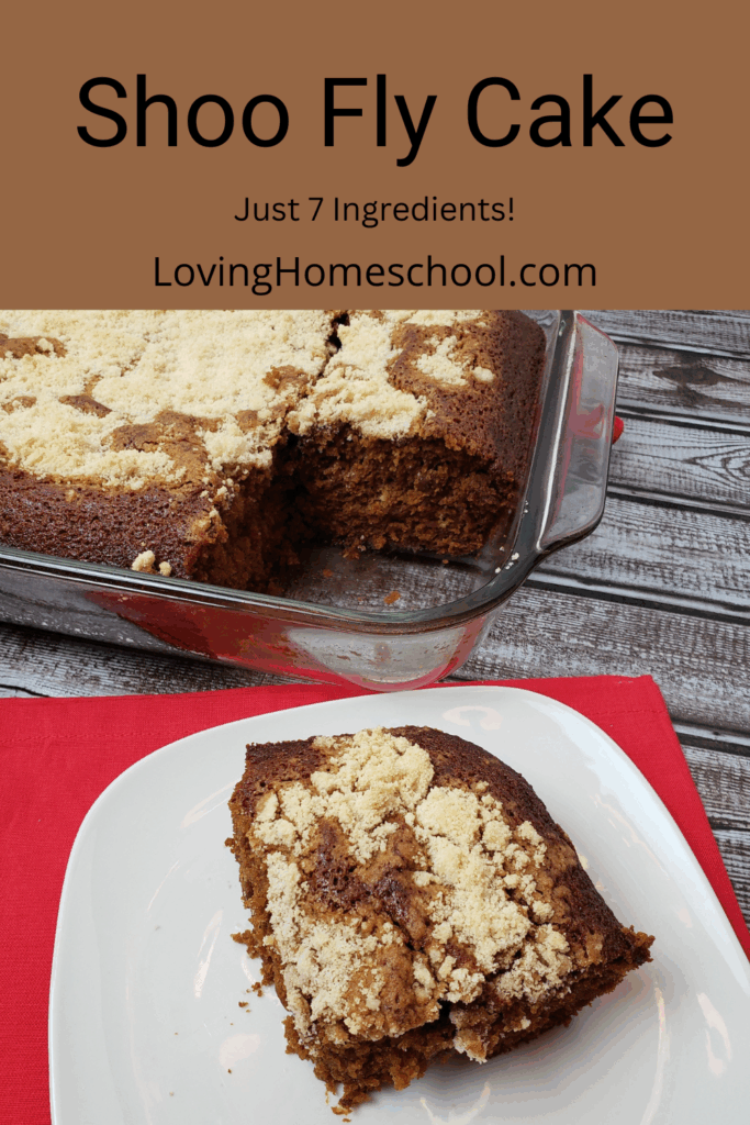 Shoo Fly Cake Pinterest Pin