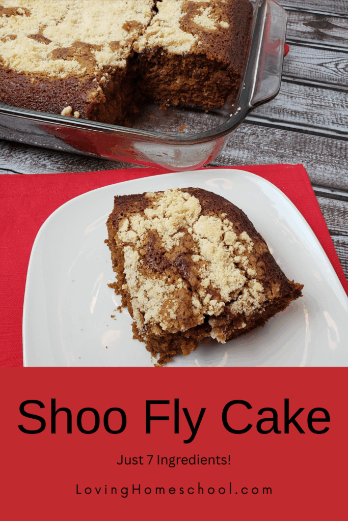 Shoo Fly Cake Pinterest Pin