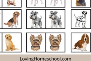 Free Printable Dogs Memory Matching Game Pinterest Pin
